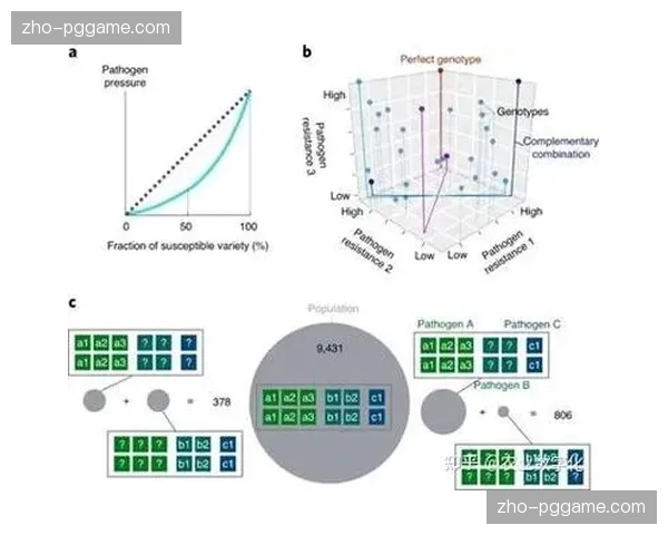 市场主体正从博弈关系 转向基于生态位互补的长期战略伙伴关系